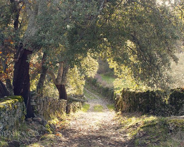 Villa Sierra De Gata Santibanez el Alto ภายนอก รูปภาพ