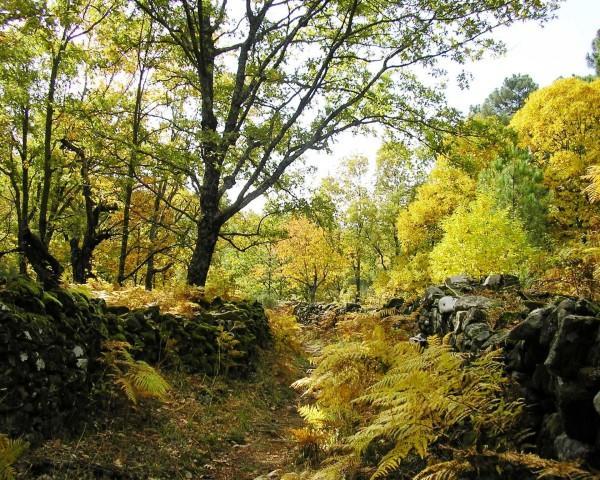 Villa Sierra De Gata Santibanez el Alto ภายนอก รูปภาพ